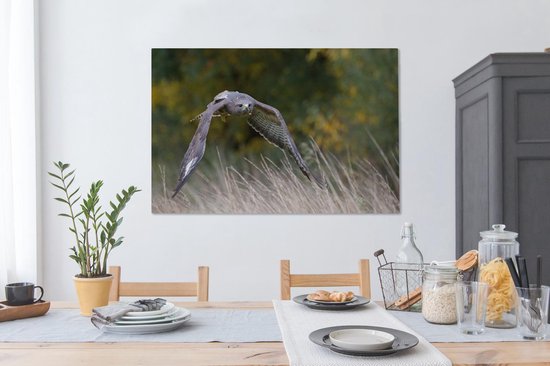 Une buse volant à basse altitude au-dessus des herbes colorées d'automne Toile 140x90 cm - Tirage photo sur toile (Décoration murale salon / chambre)