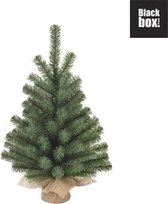 Black Box Trees - Casaya kerstboom w burlap groen TIPS 98 - h75xd43cm - Kerstbomen