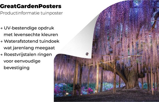 Affiche de jardin Wisteria et un arbre 90x60 cm - Toile de jardin / Toile d'extérieur / Peintures d'extérieur (décoration de jardin)