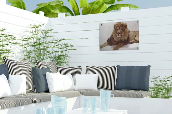 Affiche de jardin Lion relaxant sur fond blanc Toile en vrac 40x30 cm - Petit - Toile de jardin / Toile d'extérieur / Peintures pour l'extérieur (décoration de jardin)