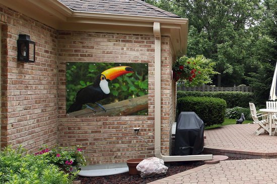 Un toucan assis sur un tronc d'arbre Affiche de jardin 120x80 cm - Toile de jardin / Toile d'extérieur / Peintures d'extérieur (décoration de jardin)