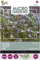 Buzzy zaden - Micro greens mosterdsla red Frills