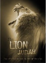 Poster - the lion of Judah - 50x70cm - Bijbel - Christelijk - Majestic Ally - 1 stuk