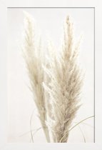 JUNIQE - Poster met houten lijst Pampas riet -13x18 /Ivoor & Wit