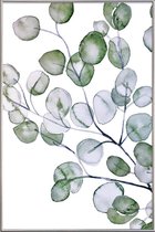 JUNIQE - Poster met kunststof lijst Eucalyptus aquarel -40x60 /Groen &