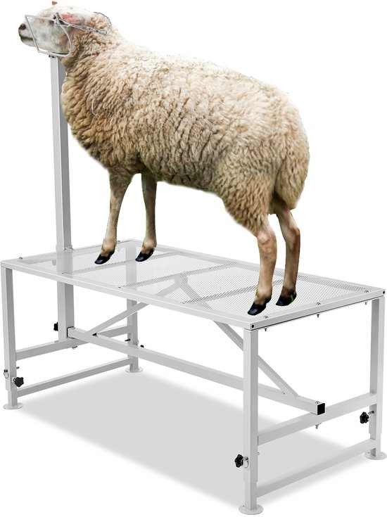 Wit schaap op een stevige, witte metalen trimtafel met verstelbare poten.