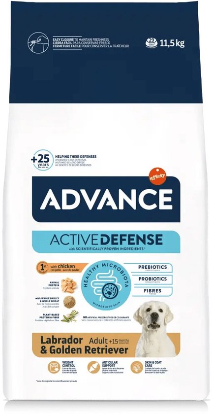 Advance Labrador Retriever Adult