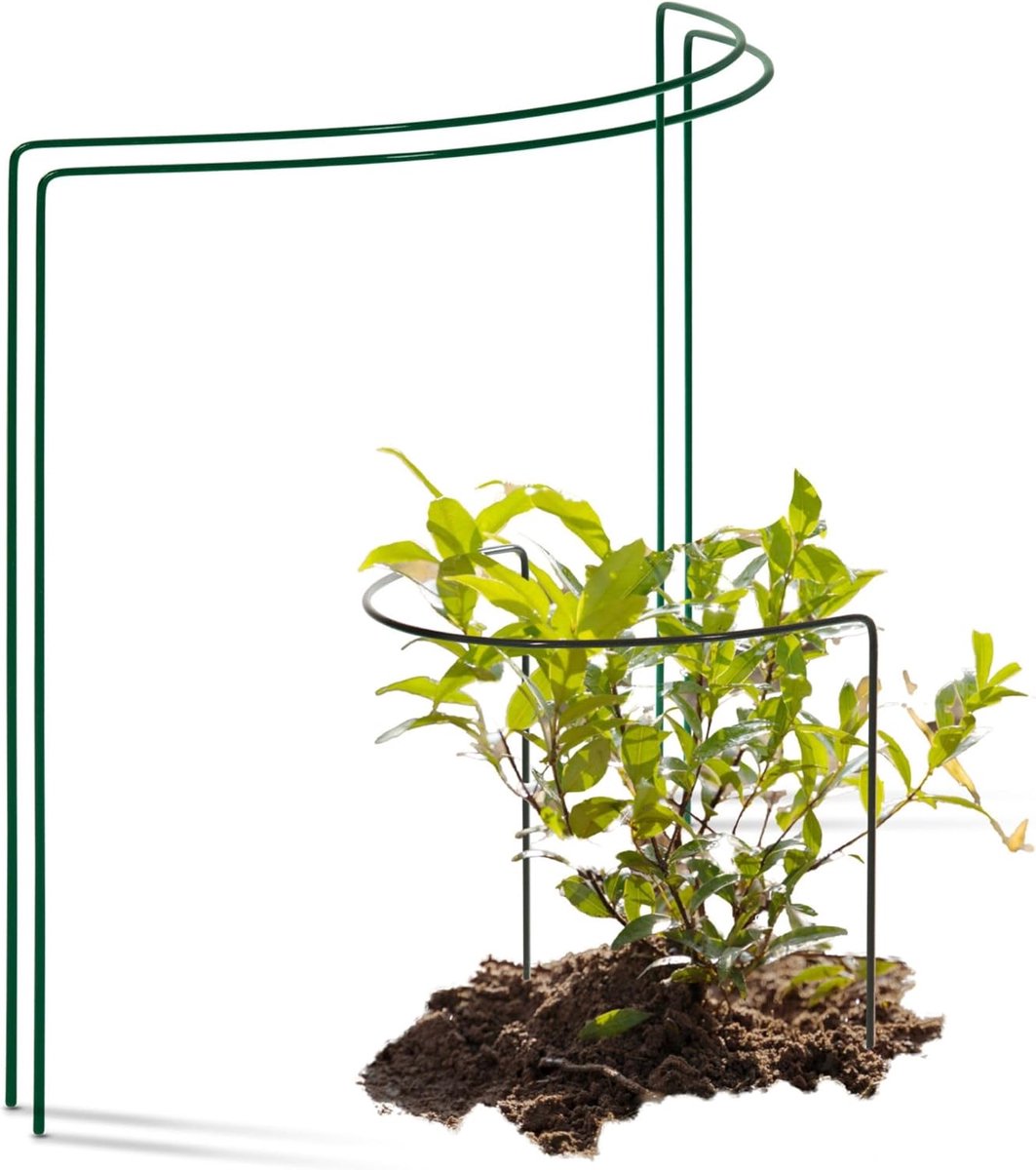 2 struiksteunen halfrond 40 cm Ø50 cm hoog groene vaste plantenhouder bloemenhouder klimplant plantensteun bloemensteun vaste plantensteun klimhulp struikhouder rozensteun