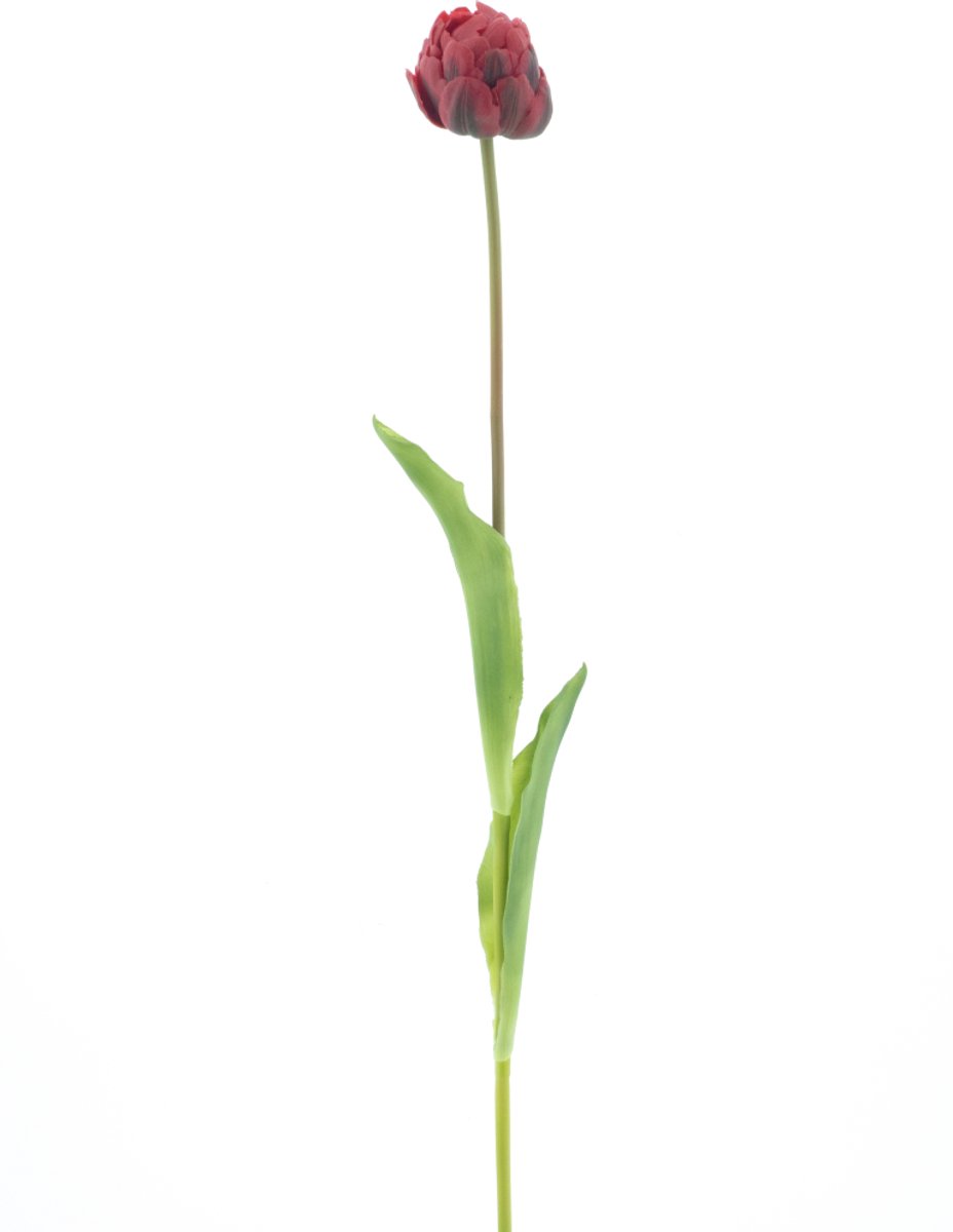 Nova nature - PSO Tulip spray Paris Sally red 79 cm kunstbloem