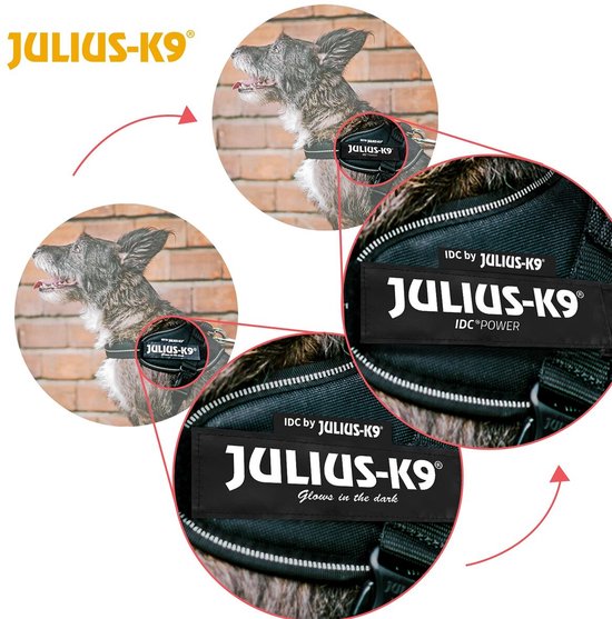 Hond met zwart IDC-harnas met 'JULIUS-K9 Glows in the dark'-label.