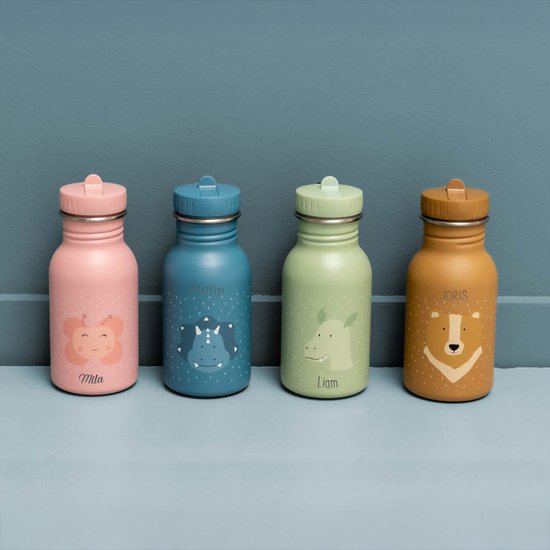 Vier drinkflessen in het roze met vlinder, blauw met dinosaurus, groen met dier, en bruin met beer.