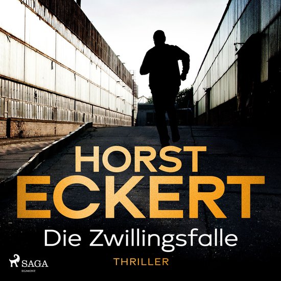 Die Zwillingsfalle - cover