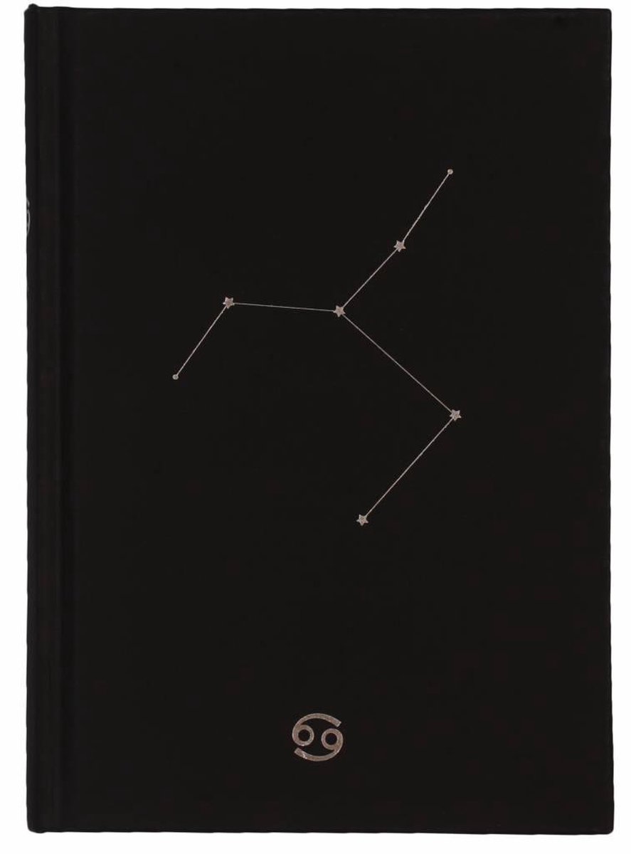 D6053-04 Dreamnotes notitieboek sterrenbeeld: kreeft 19 x 13,5 cm