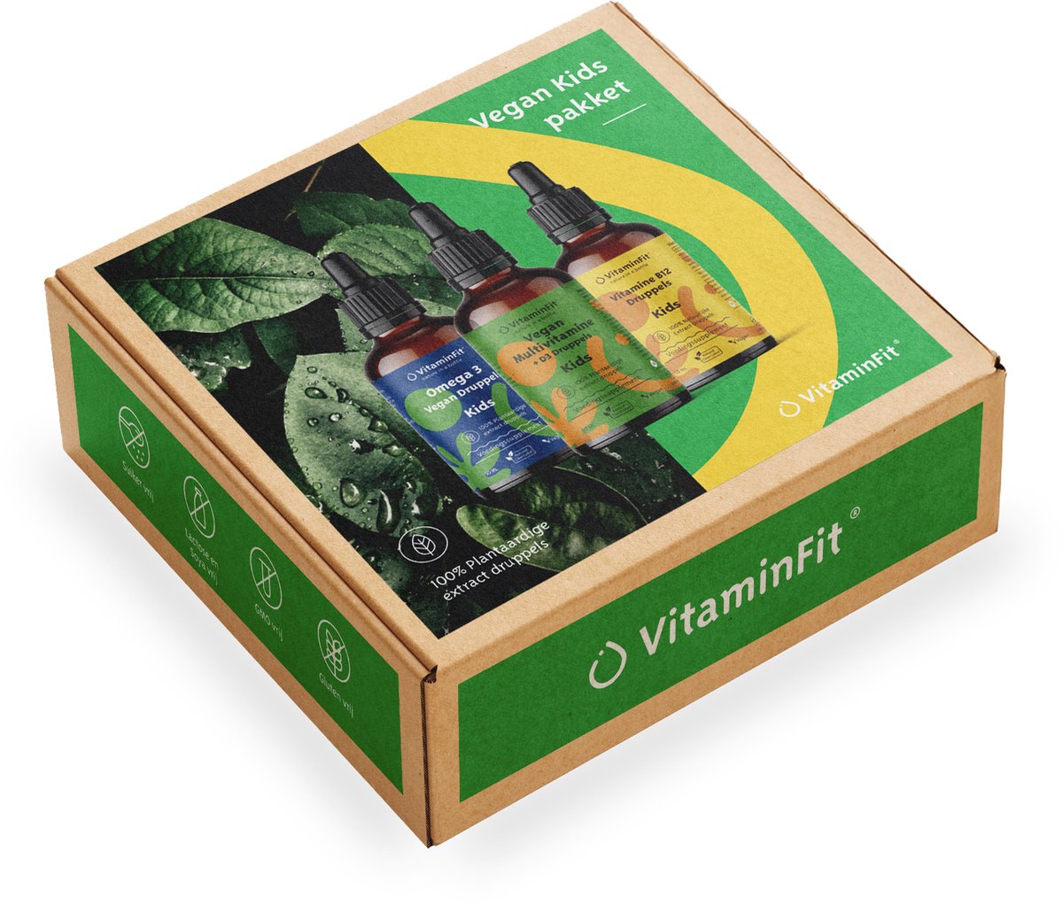 Goedkoopste VitaminFit Vegan Kids Pakket - 100 Natuurlijk & Plantaardig - Combinatie Mulitvitamine D3 Kids Vitamine B12 Kids Omega 3 Kids - Druppels