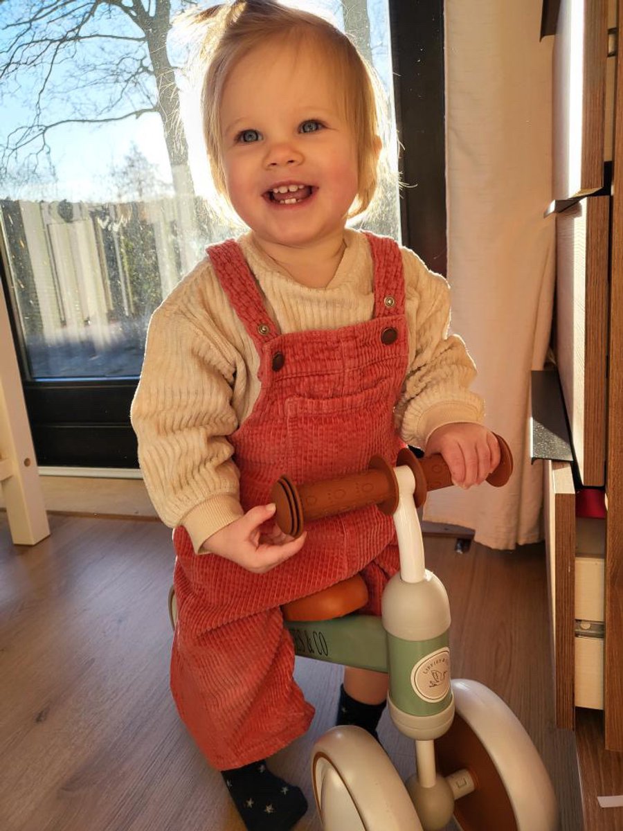 Liefjes & Co Loopfiets / Driewieler vanaf 1 Jaar Mint Groen — afbeelding 9