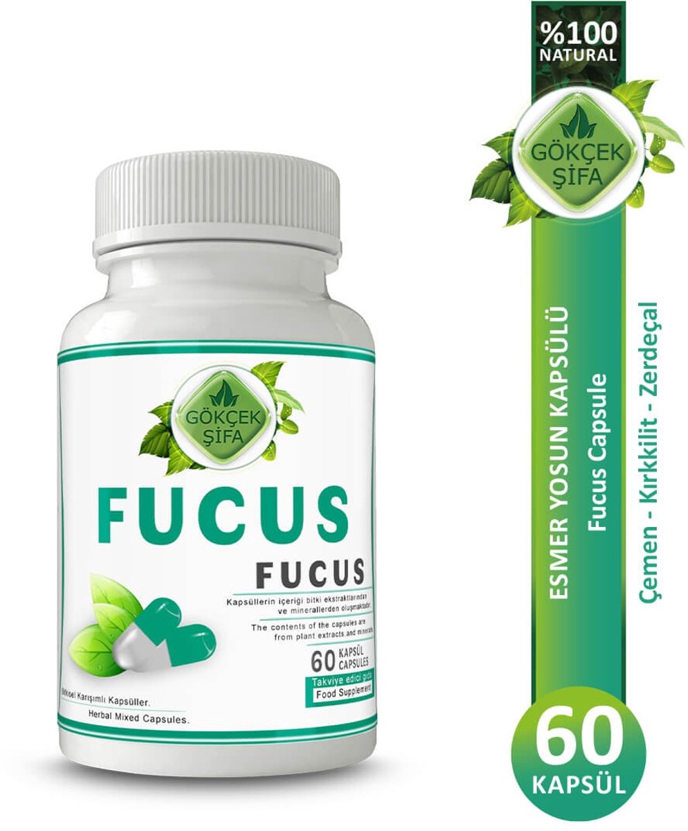 Goedkoopste Fucus - Blaaswier Extract Capsule - 60 Capsules - Natuurlijke Bron Van Jodium - 1 CAPSULE 1000 MG EXTRACT - Antioxidant, Antibioticum, Ontstekingsremmend, Anti-obesitas, Anti-diabetes - 60.000 mg Kruidenextract - Geen Toevoegingen - Beste Kwaliteit