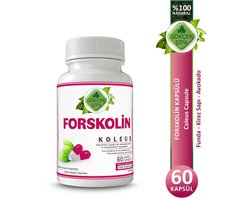 Coleus Forskoline Extract Capsule - 60 Capsules - Vetverbrander - 1 CAPSULE 1000 MG EXTRACT - Helpt om Gewicht te Verliezen - 60.000 mg Kruidenextract - Geen Toevoegingen - Beste Kwaliteit