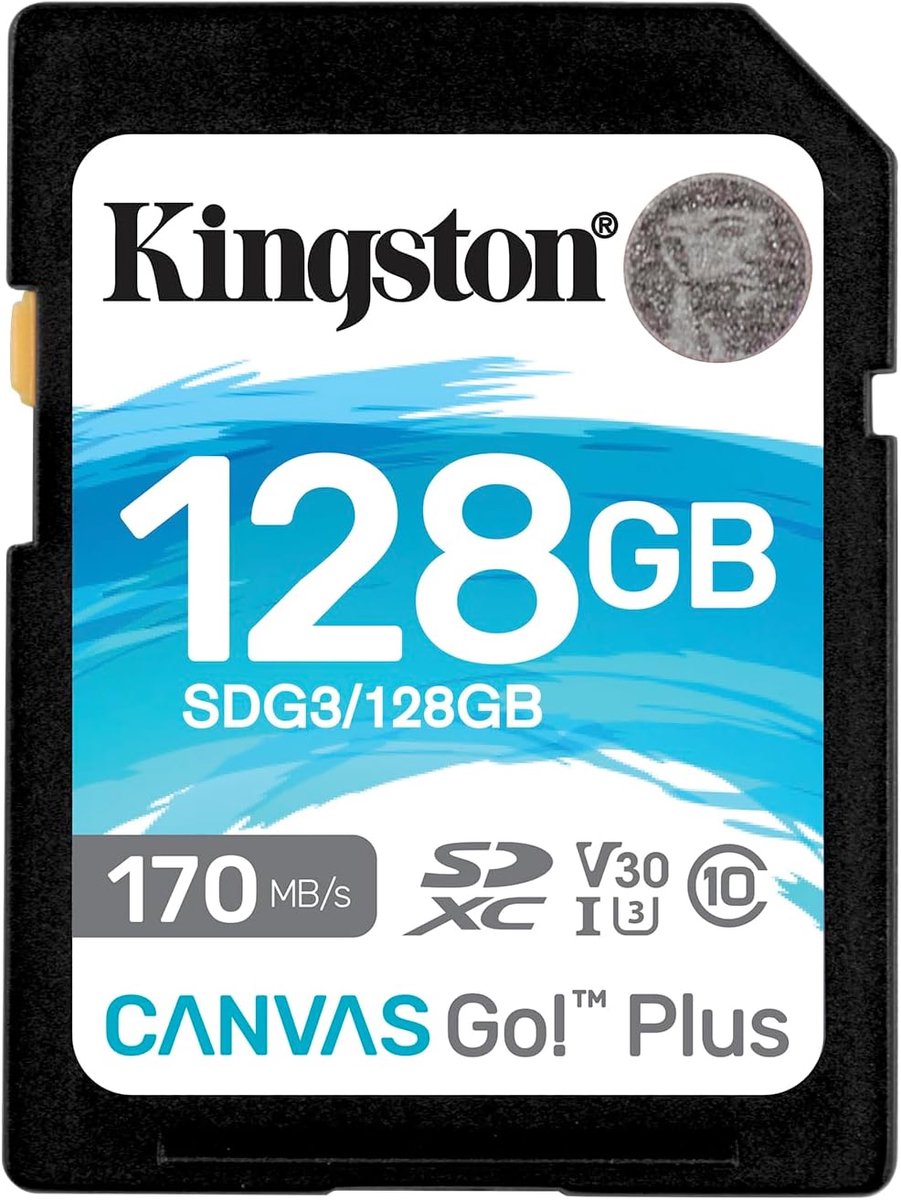 SD-kaart 128 GB SDXC - Canvas Go Plus 170R C10 UHS-I U3 V30