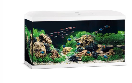 Juwel Aquarium Primo 110 2.0 - Aquaria - 82x37x42 cm Wit