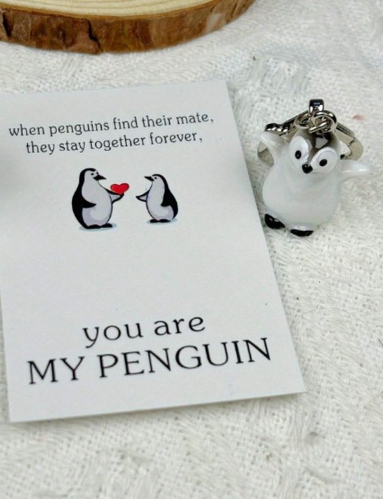 Pinguin - Sleutelhanger - Pocket Hug - Gelukshanger - Hangertje - Keychain - Met Kaartje Met Gedichtje