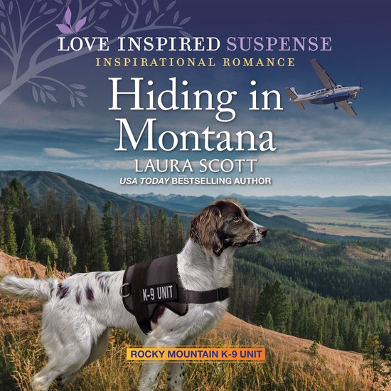Hiding in Montana - cover