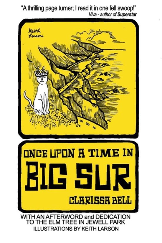 Once Upon a Time in Big Sur - cover