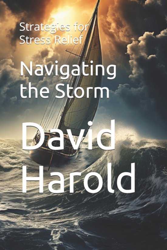 Navigating the Storm - cover