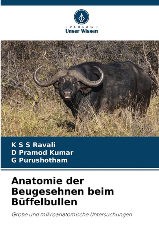 Anatomie der Beugesehnen beim Büffelbullen - cover