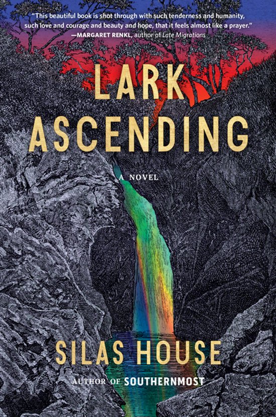 Lark Ascending - cover