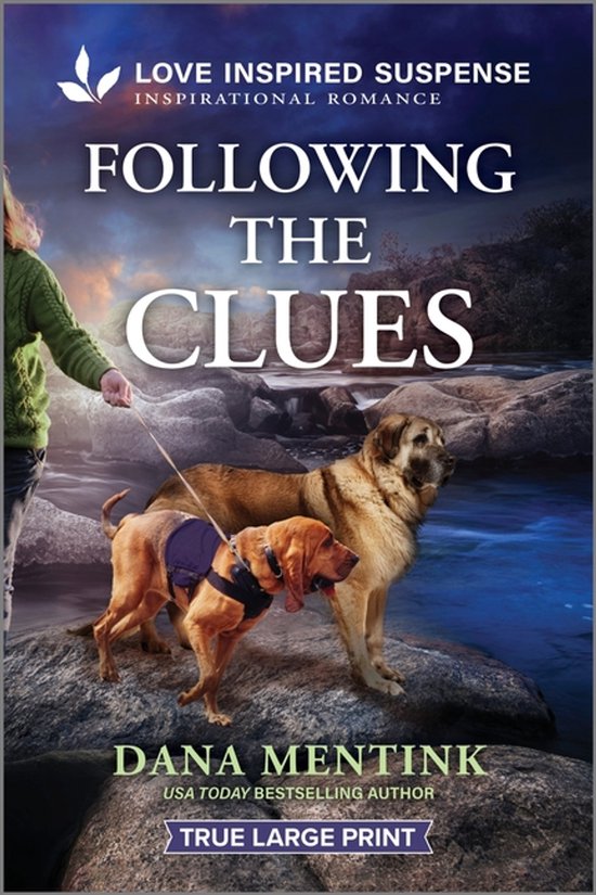 Security Hounds Investigations- Following the Clues - cover