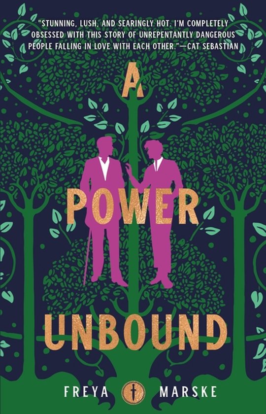 Boekomslag met twee silhouetten van mensen in paars en roze, met de titel 'A POWER UNBOUND' in goudkleurige letters.