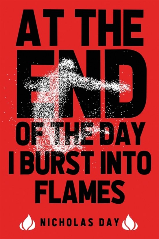 At The End Of The Day I Burst Into Flames - cover