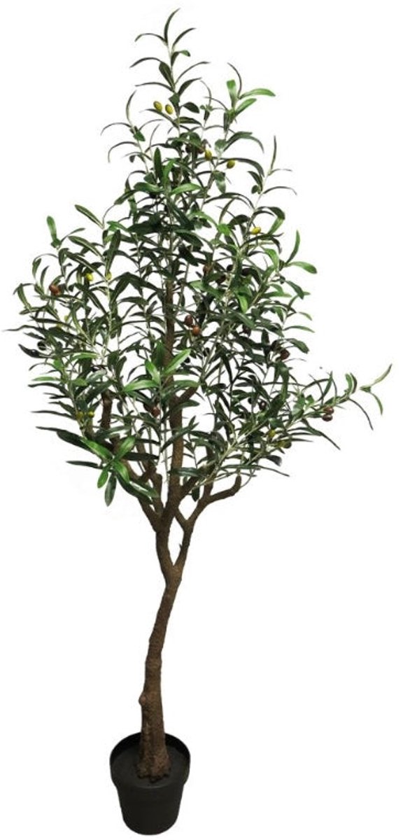 Olijfboom - 150cm - kunstplant - zijdenplant - duurzaam - hoge kwaliteit - realistische uitstraling