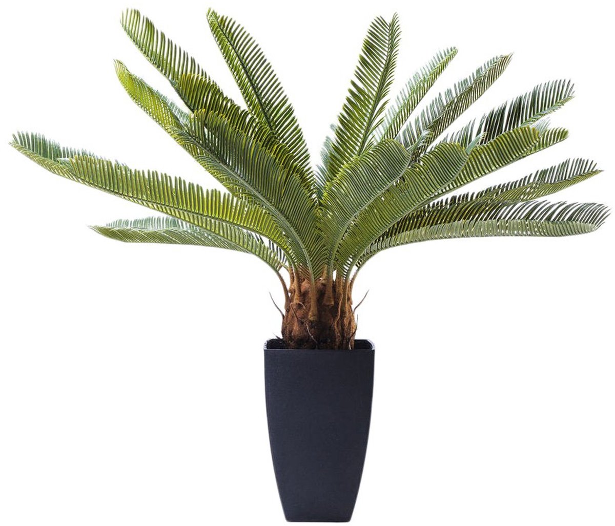 Kunstplanten Cycas 78cm Kare Design