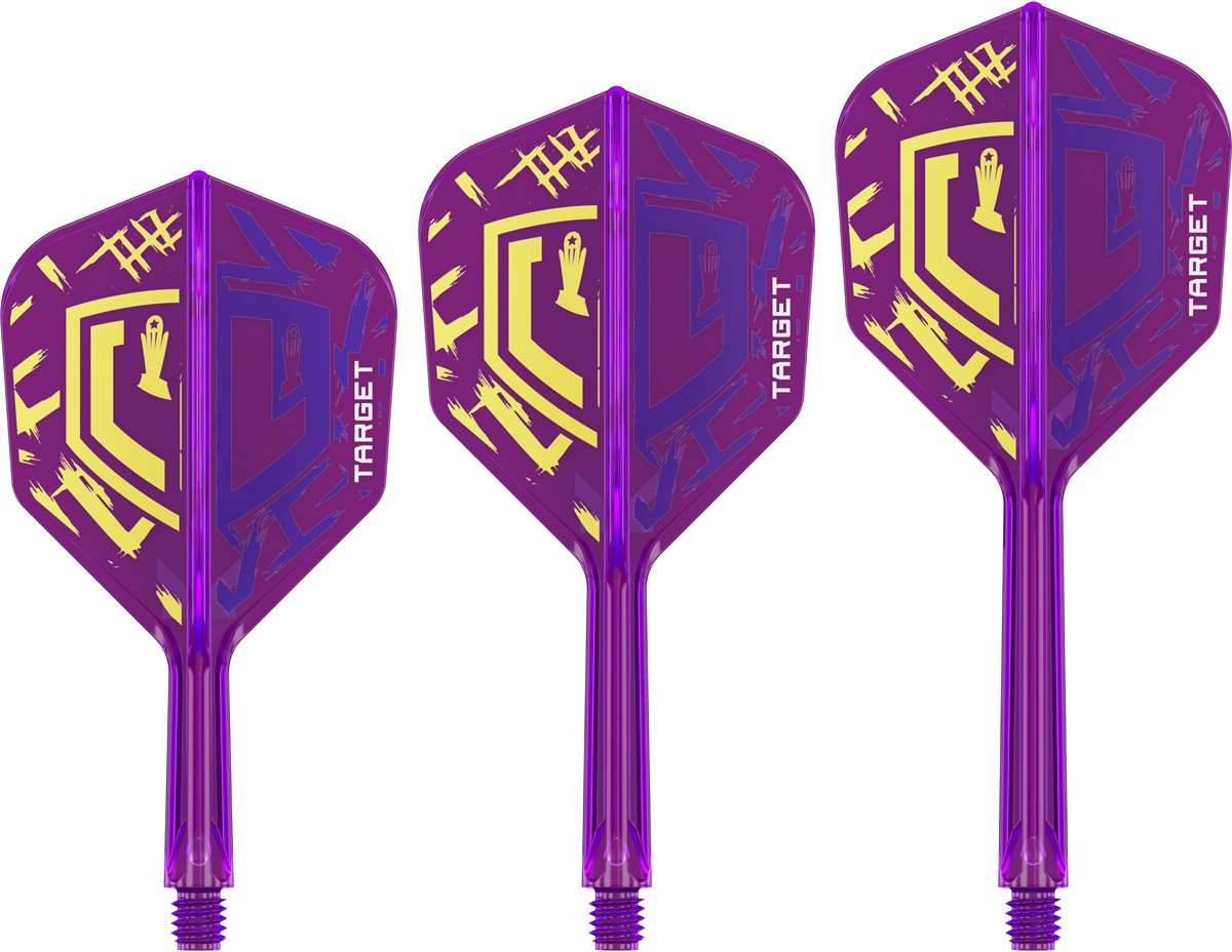 TARGET LUKE LITTLER WORLD CHAMPION K-FLEX NO6 FLIGHTS/SHAFTS INTERMEDIATE