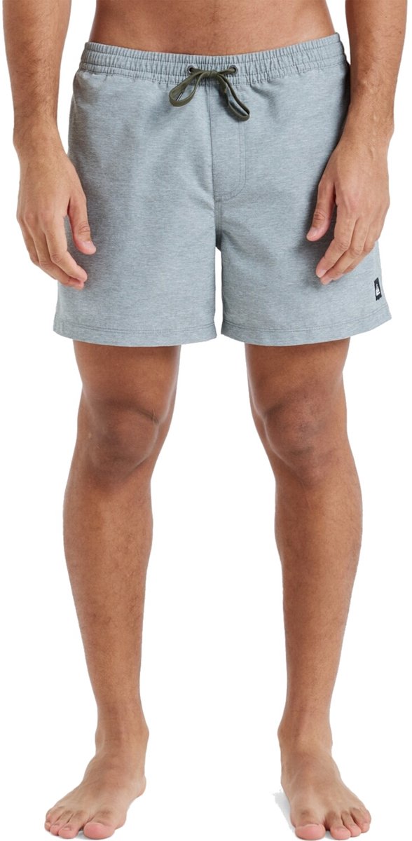 Quiksilver Everyday Deluxe Heren Zwemshort Eqyjv04101-creh Kleur Bruin