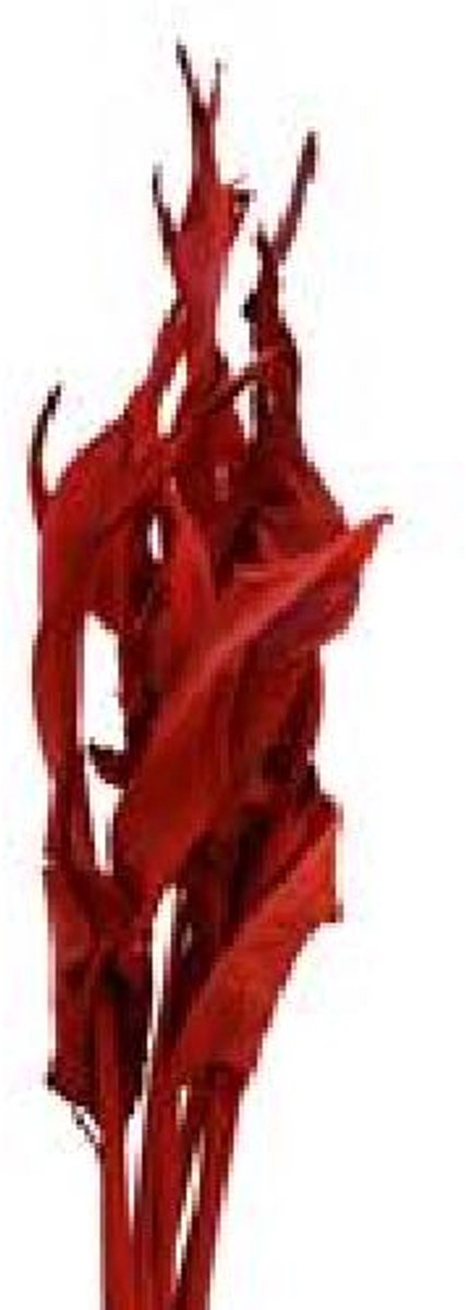 20x Dc strel.blad rood 80cm