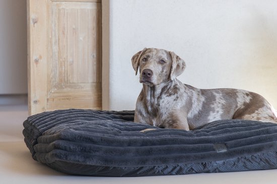 Een teckel met een gevlekt bruin-witte vacht ligt op een donkergrijs hondenbed met ribbels.