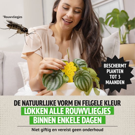 Een vrouw houdt een gele, bloemvormige vliegenvanger bij een kamerplant. Een rouwvliegje vliegt in de buurt. Tekst: 'BESCHERMT PLANTEN TOT 3 MAANDEN'.