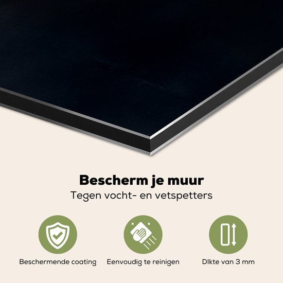 Spatscherm keuken 80x40 cm - Kookplaat achterwand Roeiboot - Mistig - Bergen - Vogels - Muurbeschermer - Spatwand fornuis - Hoogwaardig aluminium