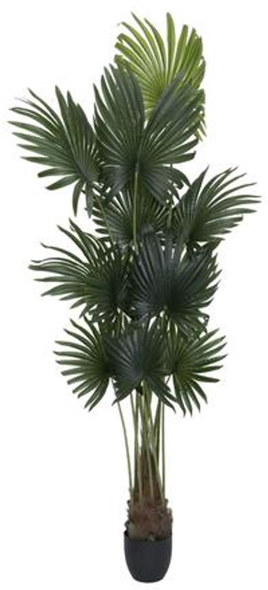 Pottery Pots Kunstplant - Palm tree L - H200cm - Indoor - Green