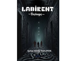 labirent 1 - labirent başlangıç