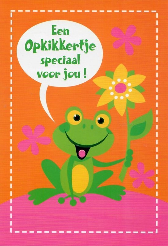 Vrolijke groene kikker met een bloem en de tekst 'Een Opkikkertje speciaal voor jou!'.