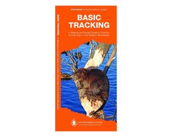 Basic Tracking