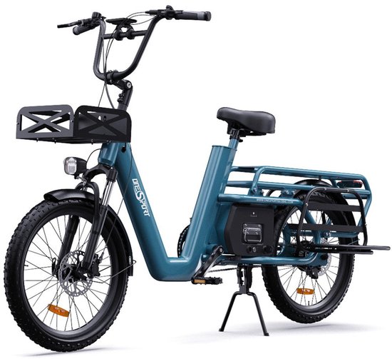 Elektrische Fiets OT01 E-...