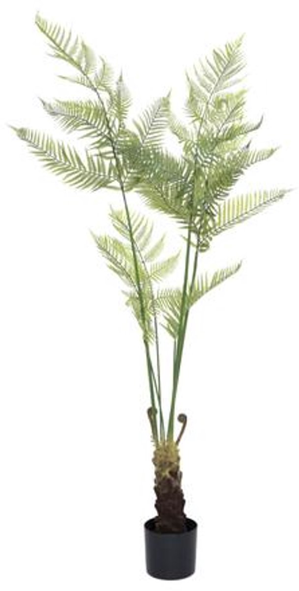 Pottery Pots Kunstplant - Fern L - H180cm - Indoor - Green