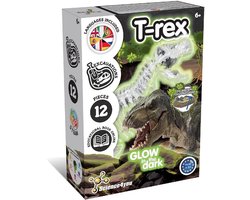 Science4you Glow in the Dark Fossil Excavation T-Rex – Opgravingsset Dino Fossiel – Inclusief beitel & hamer – Vanaf 6 jaar