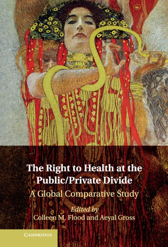 Right To Health At Public/Private Divide - cover