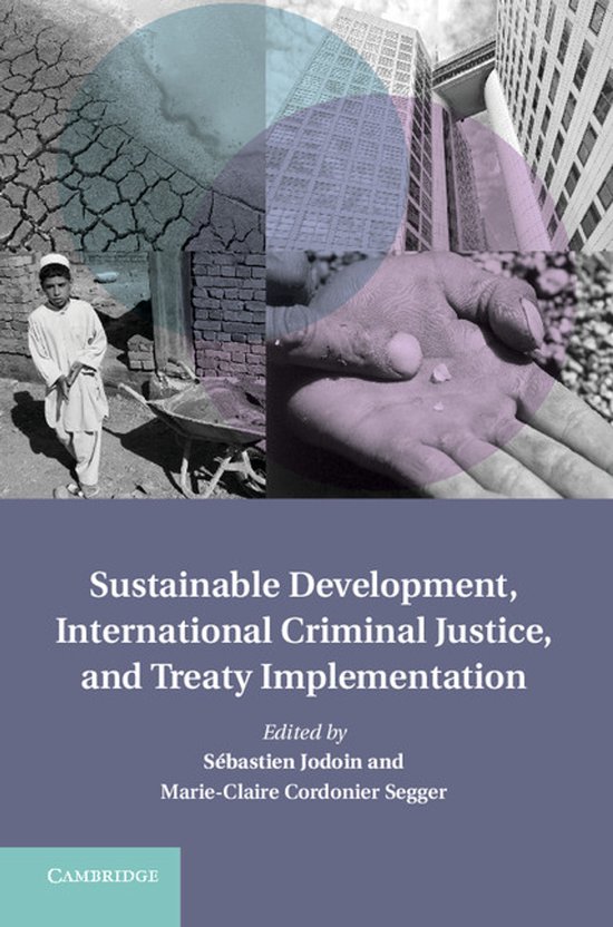 Sustainable Development, International Criminal Justice, And - cover