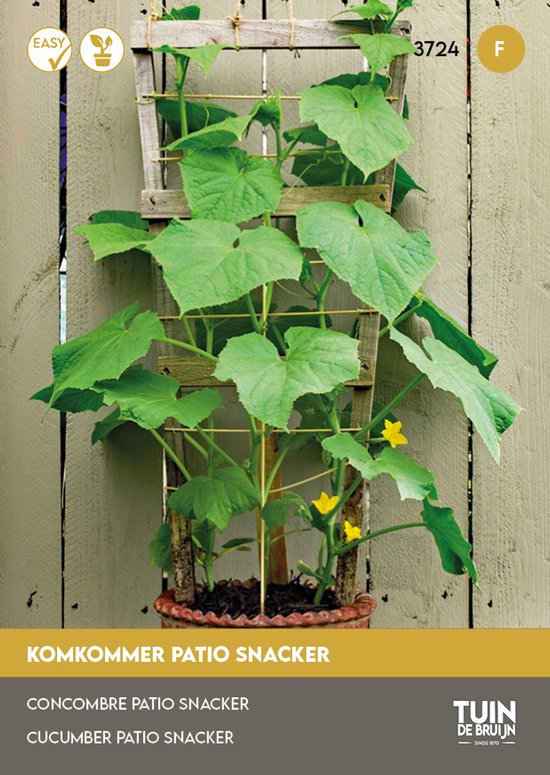 Komkommer Zaden Patio Snacker F1 – Snackkomkommer voor Pot, Balkon of Moestuin – Hoge Opbrengst - Tuin de Bruijn® zaden